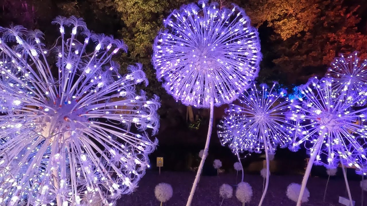 เดินชมงานไฟฤดูหนาว ณ สัทธา อุทยานไทย ราชบุรี Nasatta Light Festival Winter Illumination Thailand