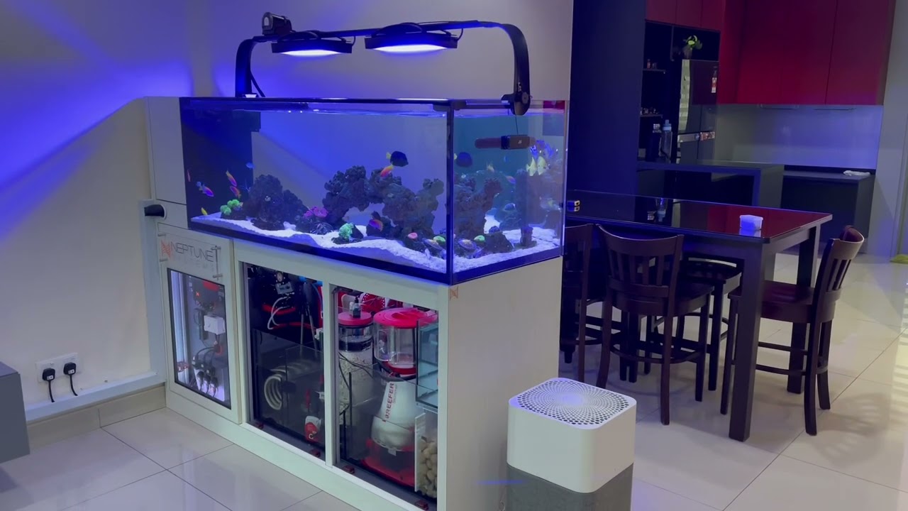 🇲🇾 5 feet Peninsula Marine Tank with Fully Automated System