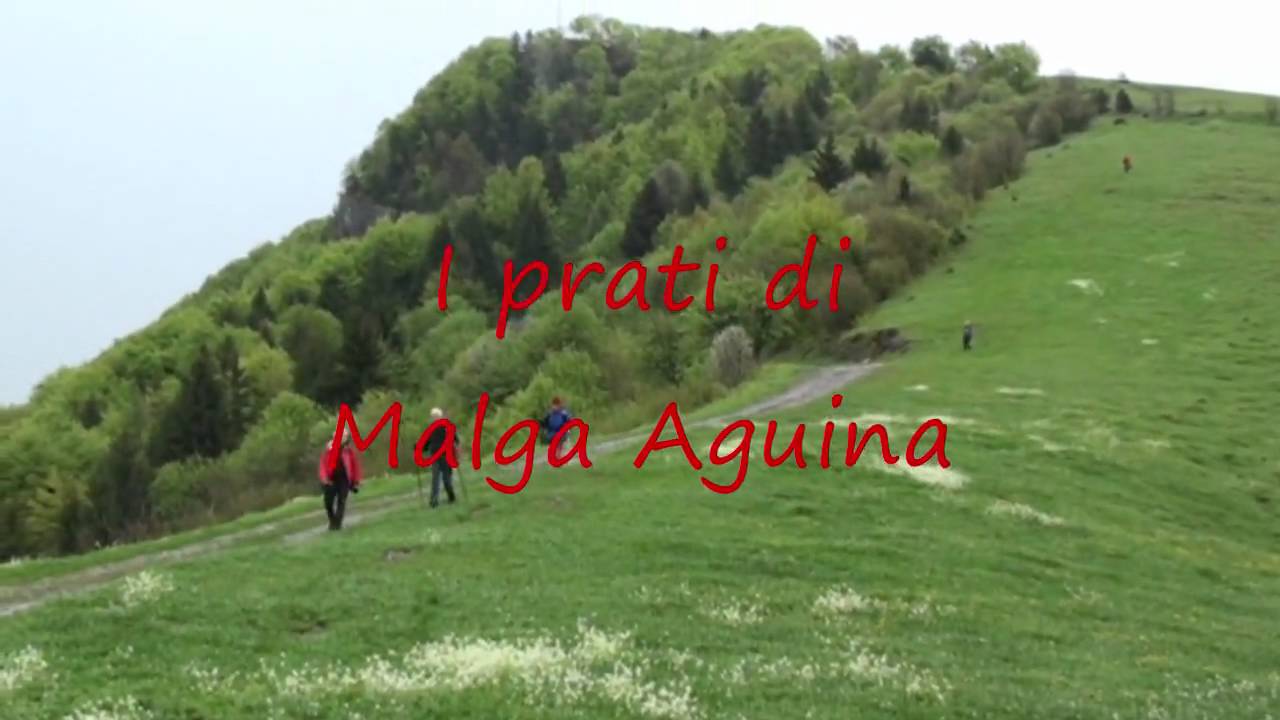 G&ouml;lem & impronte di rettili Arcosauri.wmv