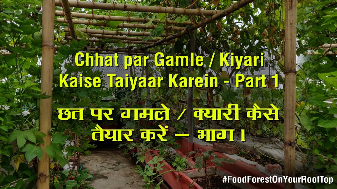 Chhat par Gamle / Kiyari Kaise Taiyaar Karein - Part 1