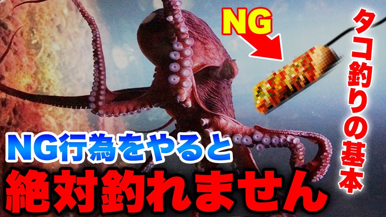 タコ釣りでやってはいけないNG行為・タコ釣り初心者がやりがちな致命的ミス。タコ釣りの落とし穴と正しい釣り方、タコ釣り成功の秘訣を解説。