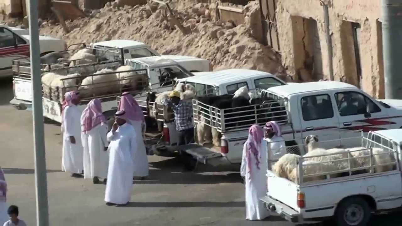 متابعة : سوق الإغنام ثادق يوم عرفه (  #ثادق_اون_لاين   الموافق ليوم الاثنين 9 / 12 / 1434هـ