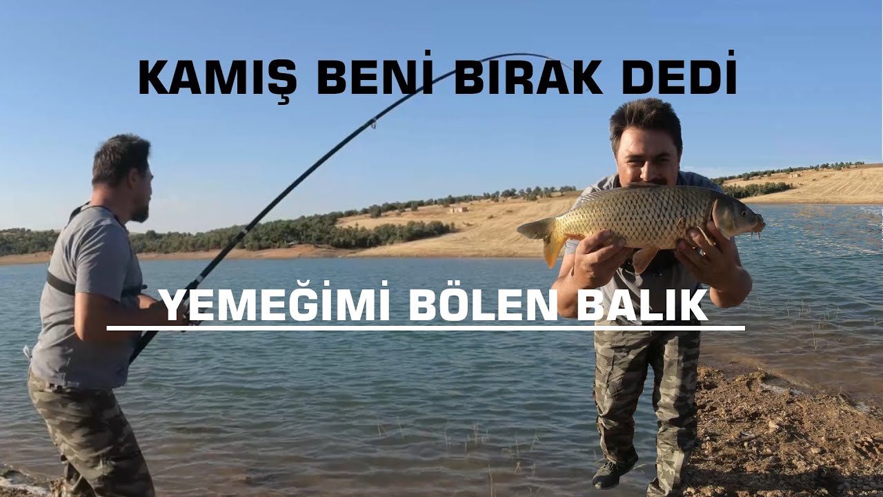 Kamış Beni Bırak Dedi. Yemeğimi Bölen Büyük Balık.