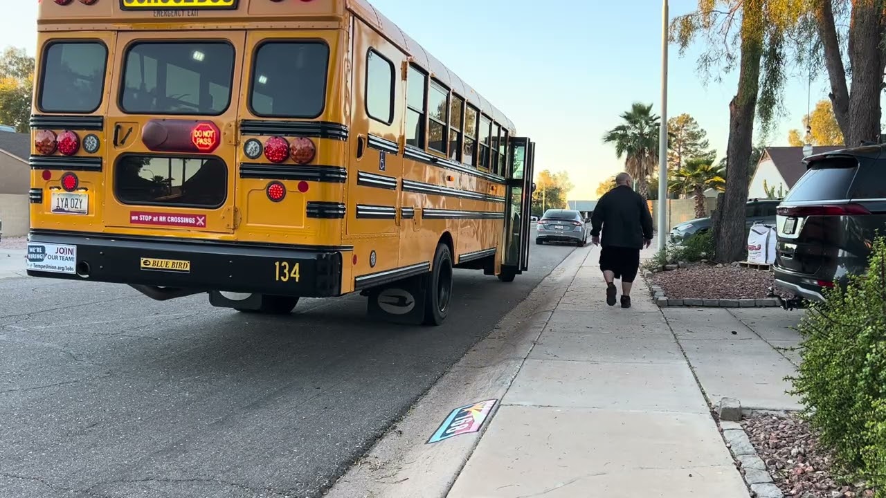 Spring break Sagan bus