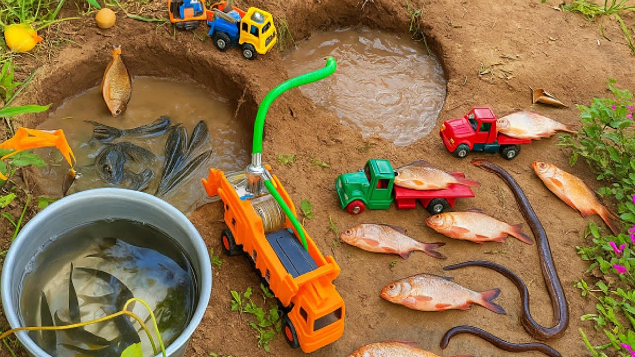 Fishing  for Bright Aquarium Fish | Goldfish & Baby Shark Highlights With Water pump truck