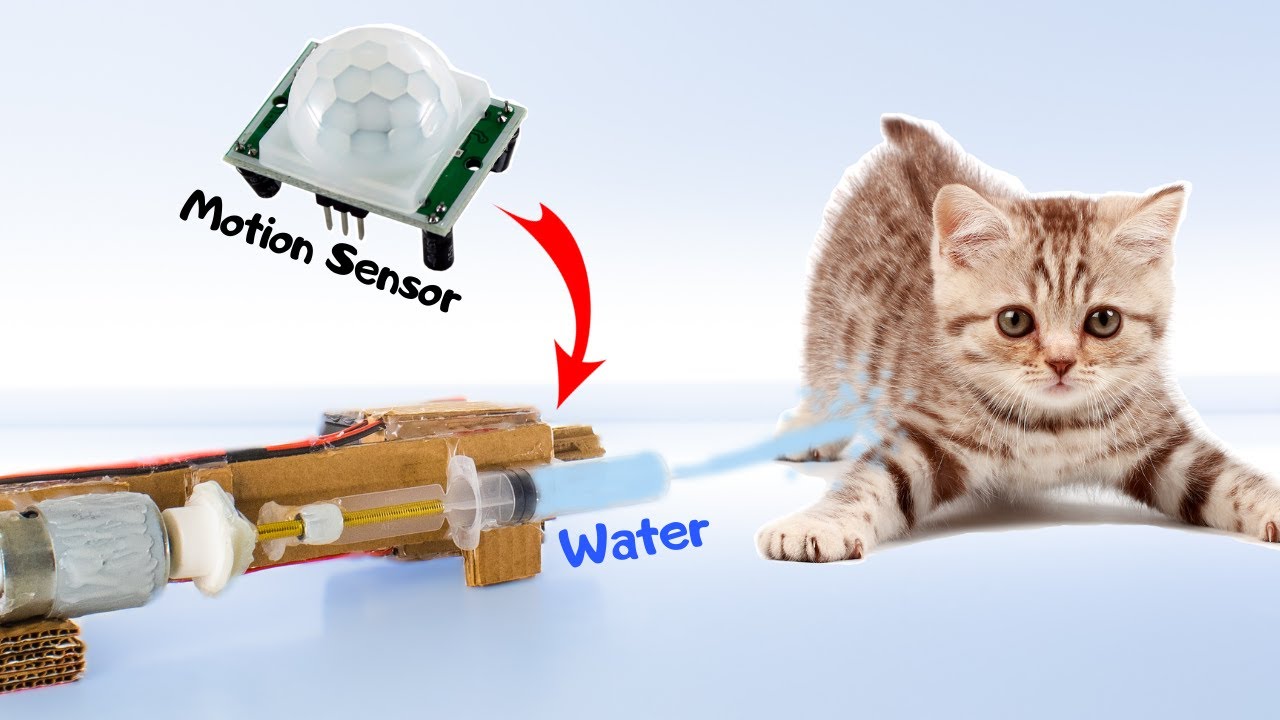 How to make a Cat Repellent with a Motion Sensor