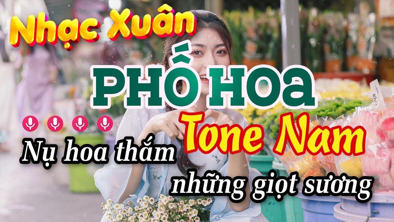 Karaoke Phố Hoa Tone Nam Nhạc Sống - Nhạc Tết 2024 Dễ Hát
