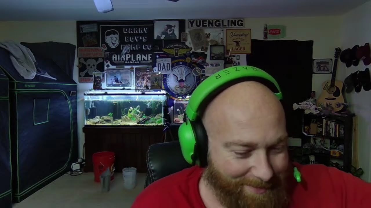 morning in the fishroom
