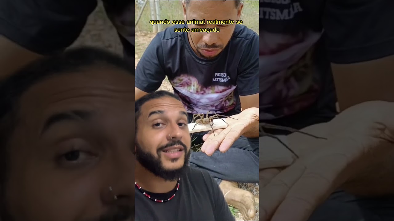Ele pegou a aranha mais PEÇONHENTA do MUNDO na mão!! | Biomesquita