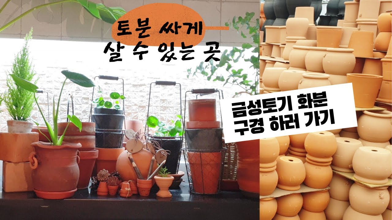 토분 싸게 살 수 있는 곳 / 금성토기 화분 구경하러가기, / 유명한 토분 성지