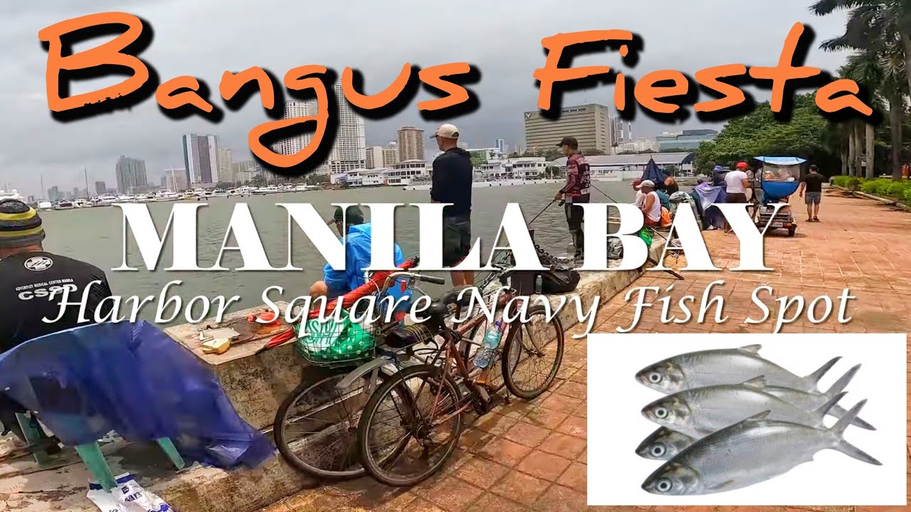 BANGUS FIESTA Manila Bay Fishing Harbor Square Navy Fish Spot #fishing #manilabay #philippinefishing