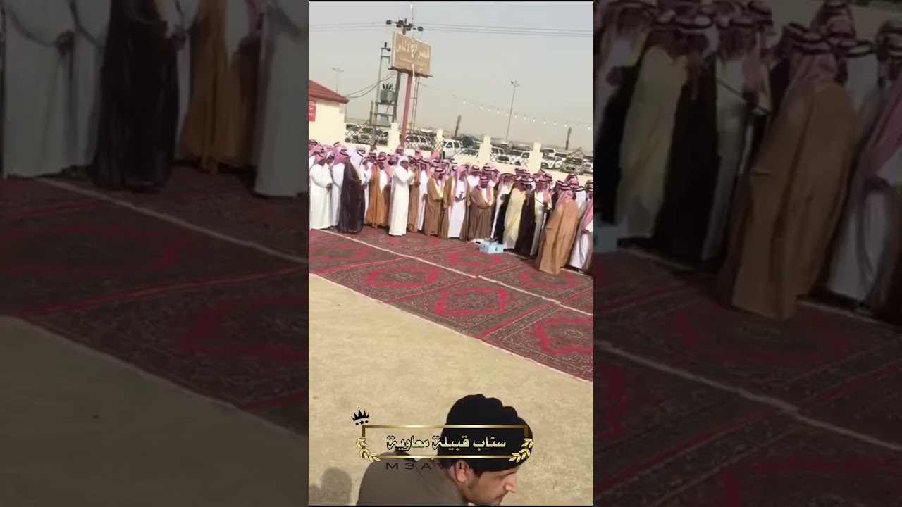 مشاركة الشيخ خالد بن جلوي شيخ قبائل معاوية مع قبايل يام وال مره فالصلح بين ال مره وبني سلول