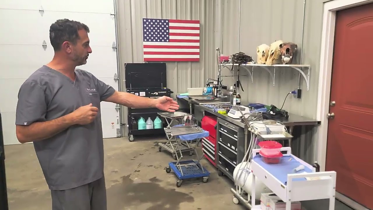 How to choose the best instruments for equine dentistry