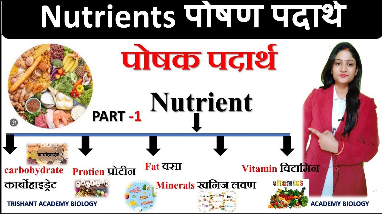 Nutrient | पोषक तत्व | पोषण पदार्थ | कार्बोहाइड्रेट प्रोटीन वसा | Biology NTPC Science |  by Khushi