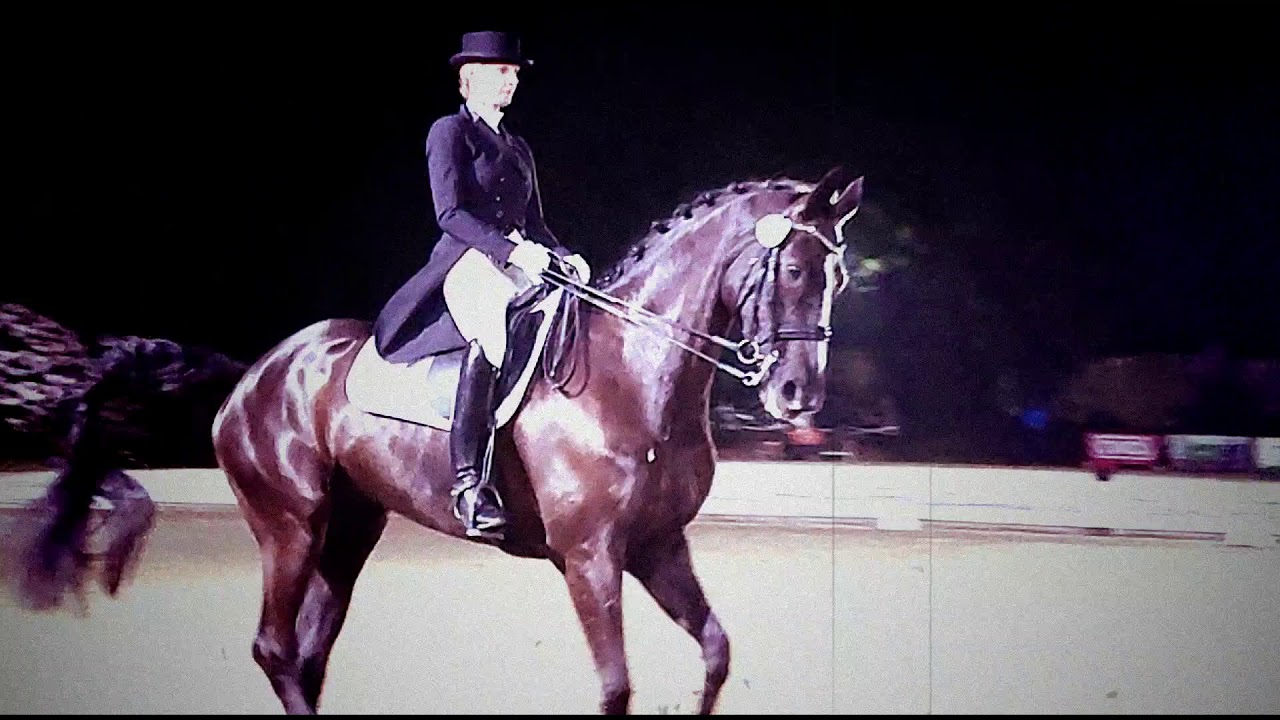 Dressurreiten als Turniersport 03-05-2019. REITSTALL LUGGE - M&uuml;lheim-D&uuml;mpten