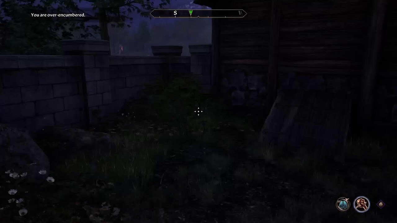 Elder Scrolls 4 oblivion Remastered part 5
