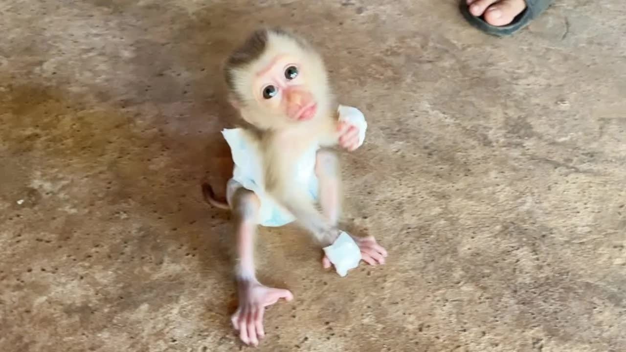 Baby Mato Sit On Ground Doing Sweet Face For Pity & Pick Up Him
