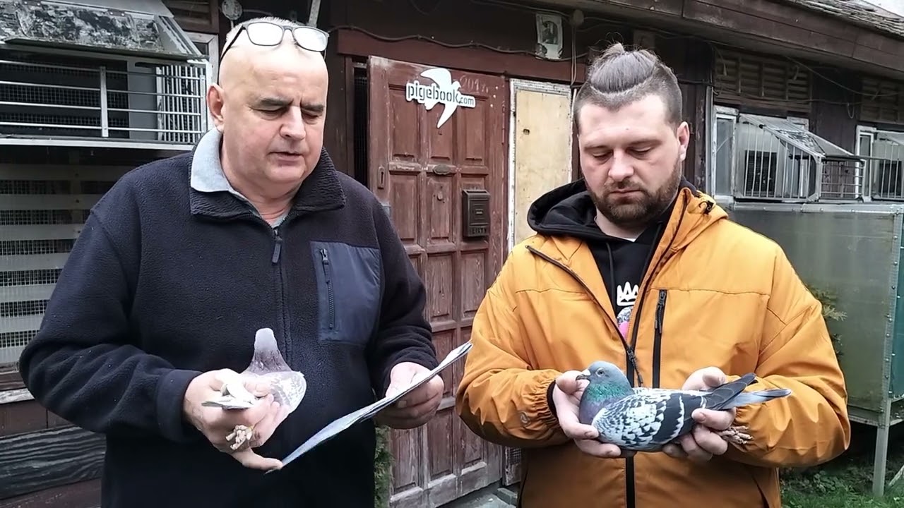 Znów pierwsi Junior Vos czy Euro 💥K&K URBAŃCZYK z wizytą u Ikony Sporu Gołębiewskiego I.K.D. Łepuch