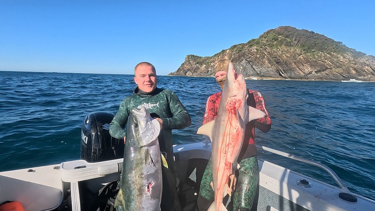 Spearfishing port stephens, Fat winter kings, Crays, Mahi and more