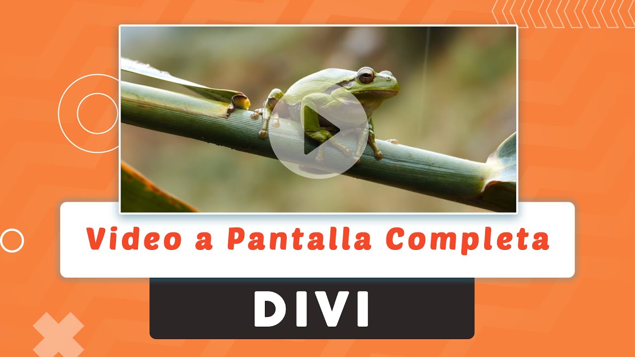 Colocar un video de fondo a pantalla completa en DIVI Wordpress