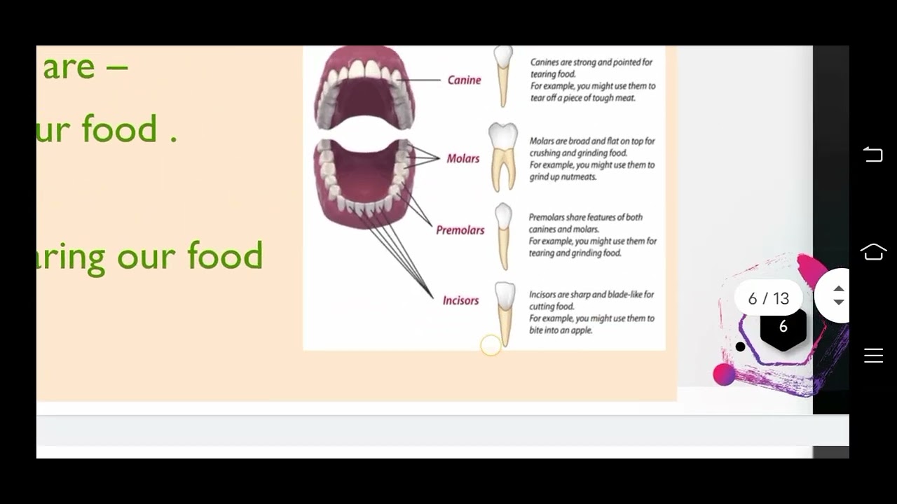 class 7 science ch 2         #LEARN AND FUN 2.0  #