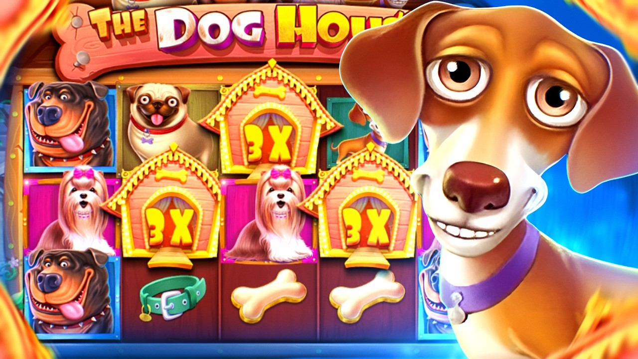 ПЫТАЮСЬ ПОЛУЧИТЬ МАСТЕРА СПОРТА ПО DOG HOUSE..