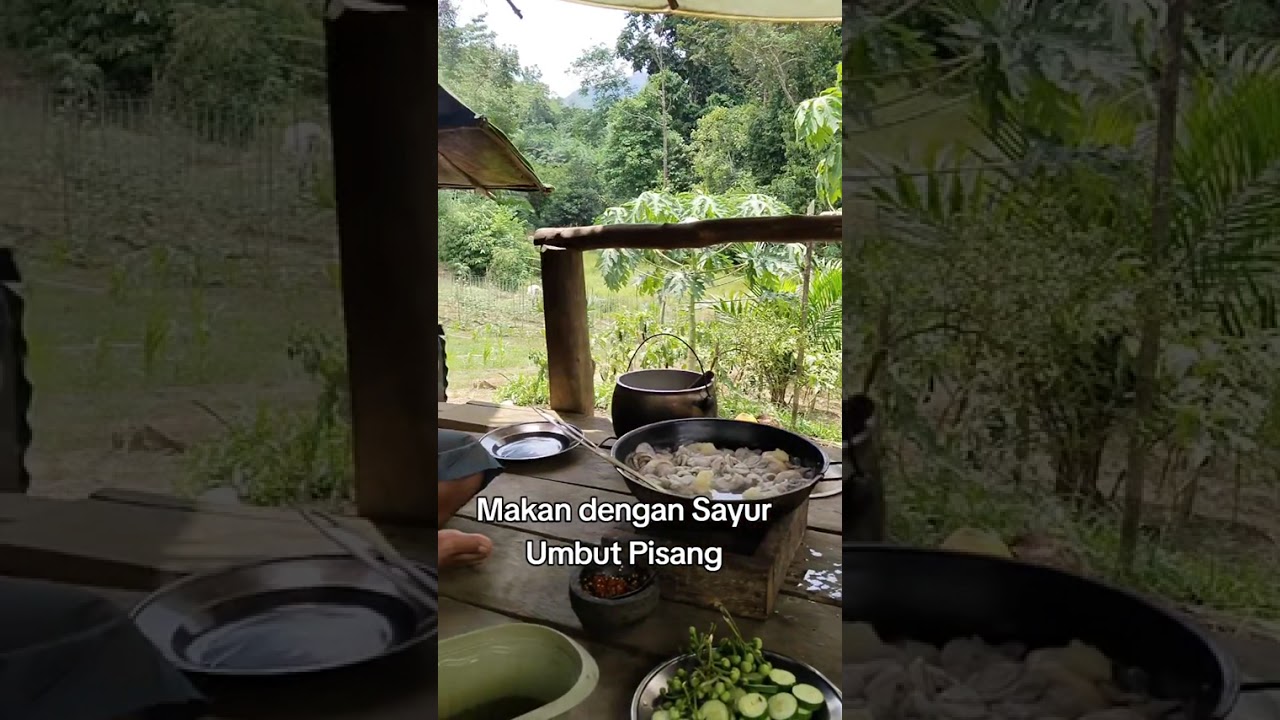 Sahabat Tani masakan kita hari ini umbut pisang dangan terong pipit