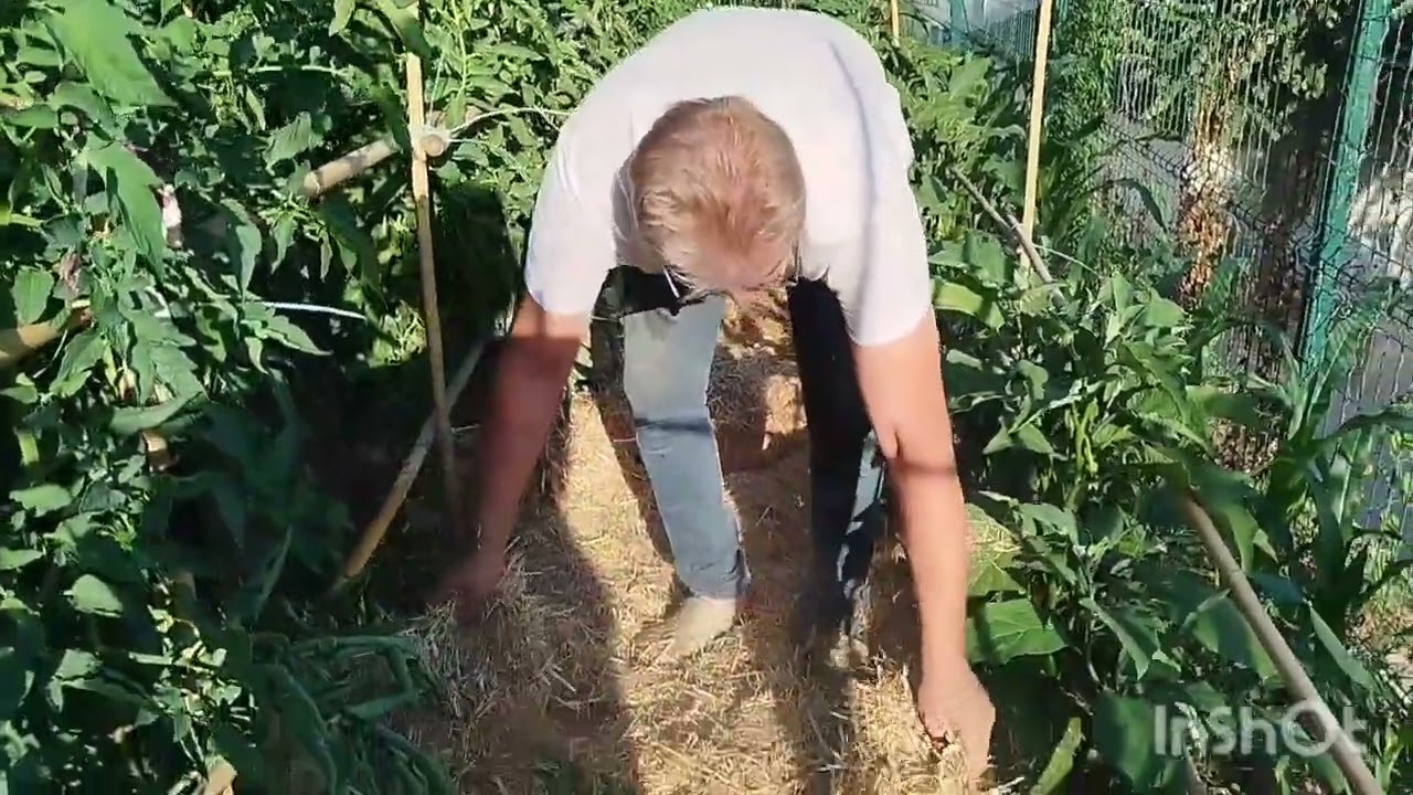 Malçlama nasıl yapılır neden yapılır ve de neden gerekli
