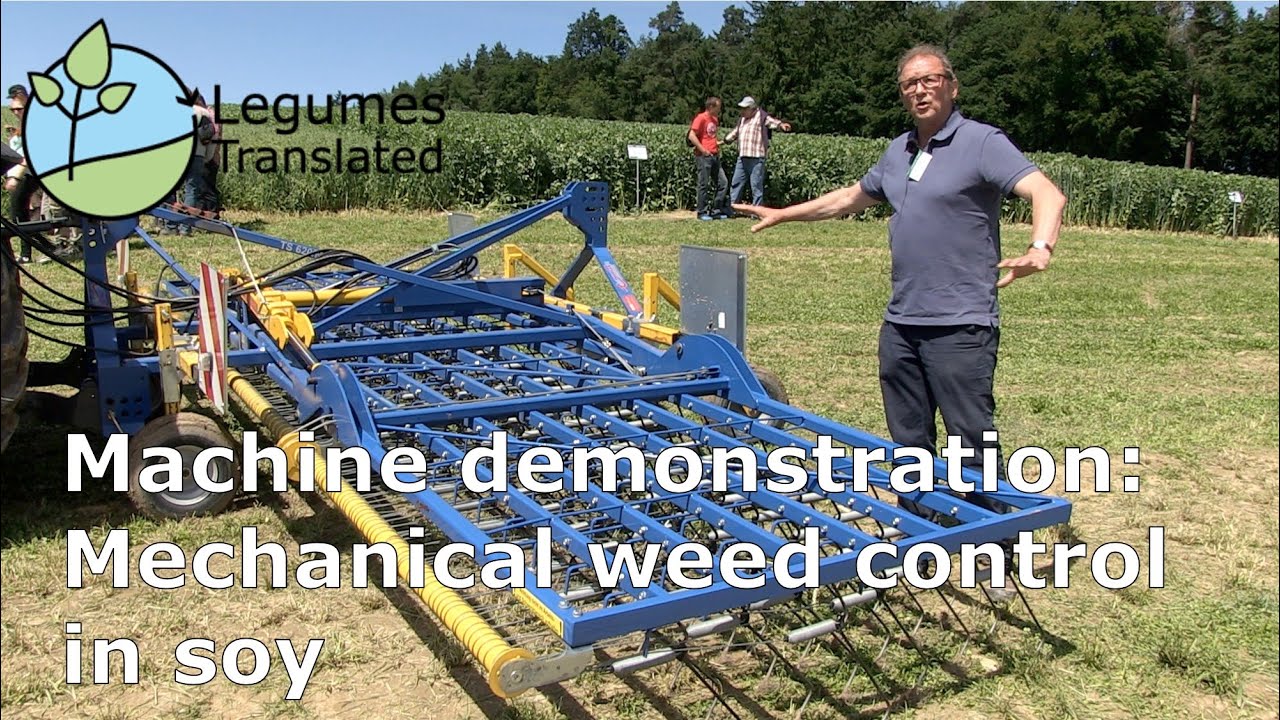 Machine demonstration: Mechanical weeding in soy