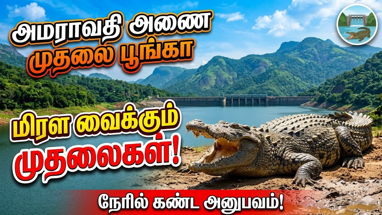 Amaravathi dam | அமராவதி அணை| Amaravathi | Crocodile park