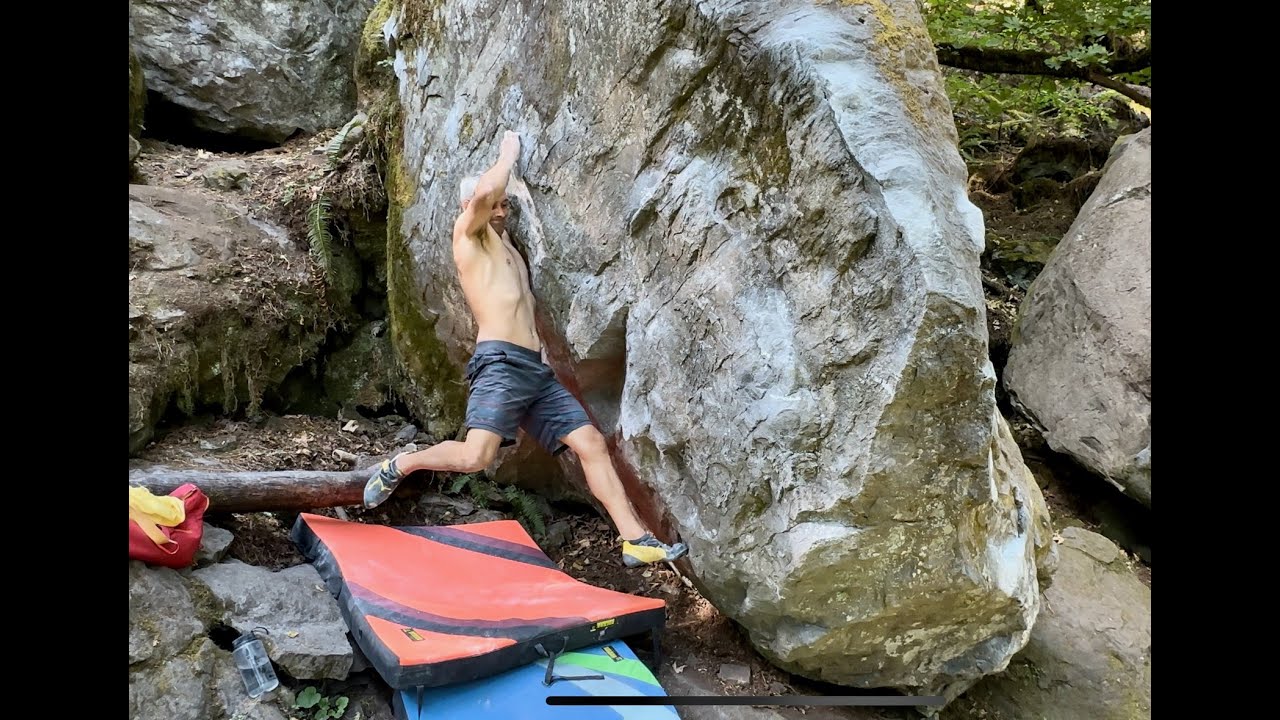 Lower Education V9
