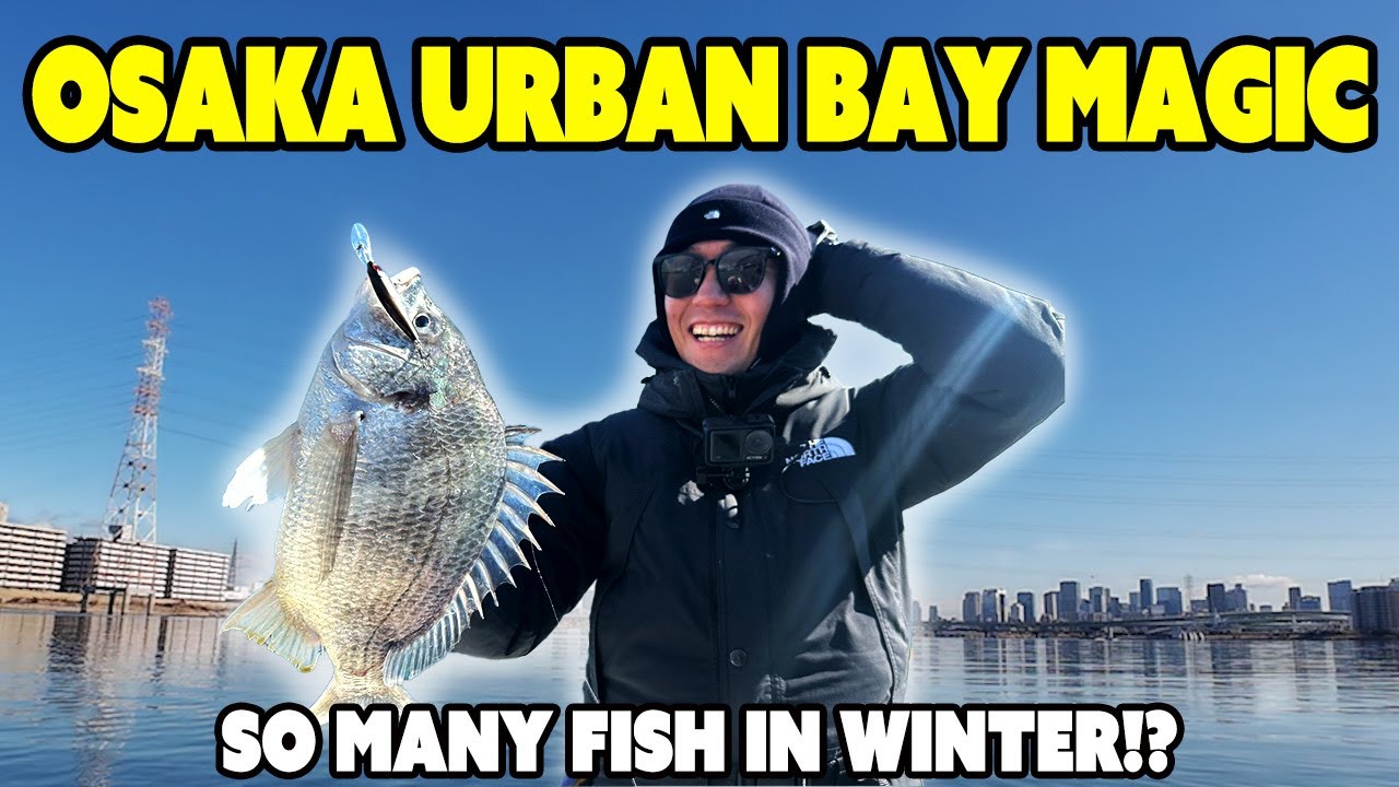 Osaka Urban Bay Black Bream Fishing in Japan | Winter = This Good?
