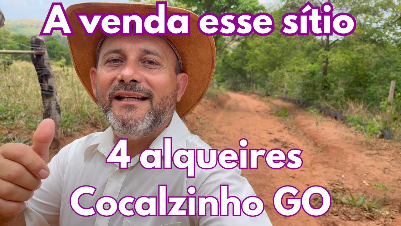 A venda esse sítio escriturado de 4 alqueires em Cocalzinho GO NÚMERO NOVO!!! (61) 99056041