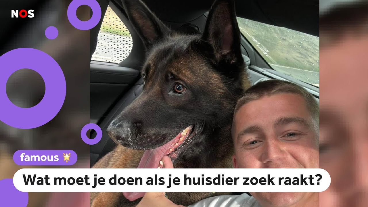 Mart Hoogkamer heeft hond terug na zoektocht van 5 dagen