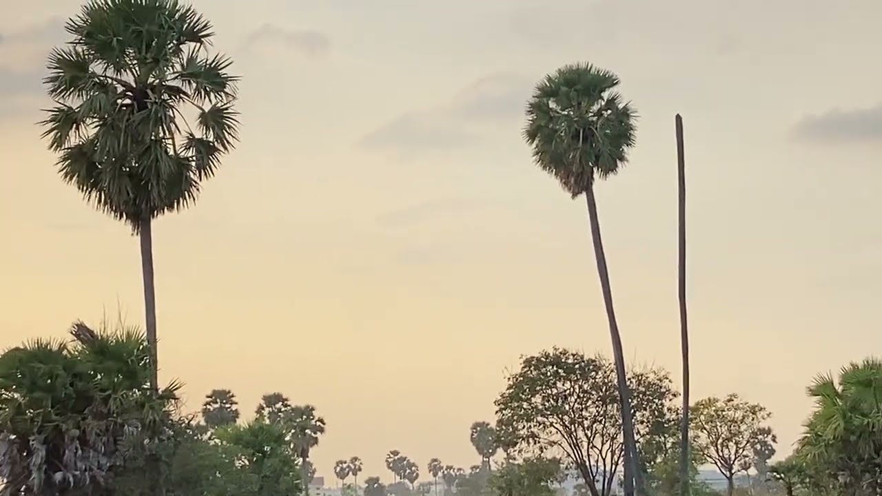 មកលេងមាត់បឹង នឹង មើលថ្ងៃលិច ស្រស់ស្រាយណាស់ / Beautiful Cambodian lake And Sunset