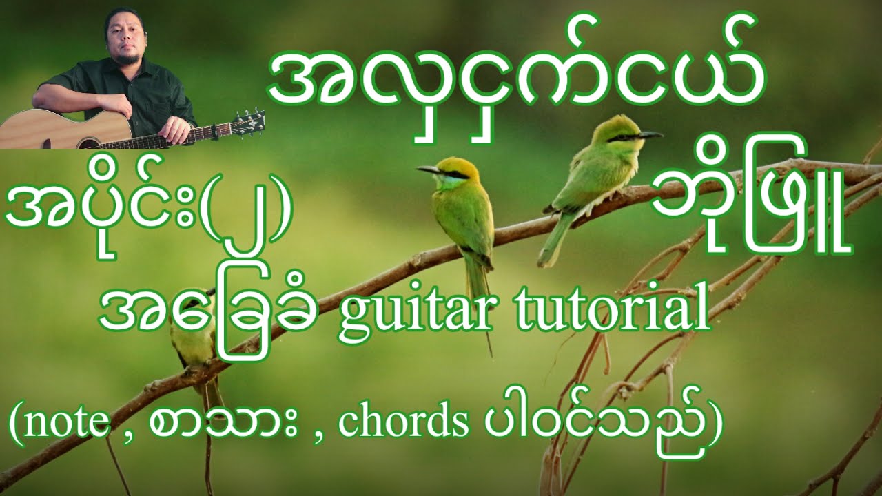 အလှငှက်ငယ် ဘိုဖြူ အခြေခံ guitar tutorial အပိုင်း(၂)