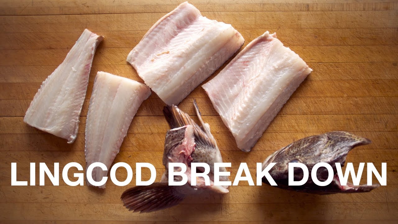 Butchering a Large Lingcod
