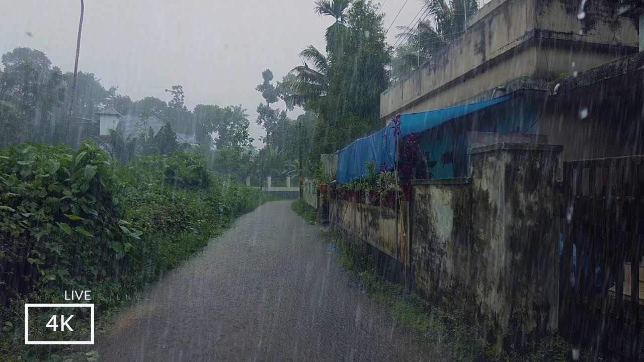 Heavy Rain in my Village | Sleep Fast and Deep with Rain Sounds  | ASMR Rain Walks Compilation