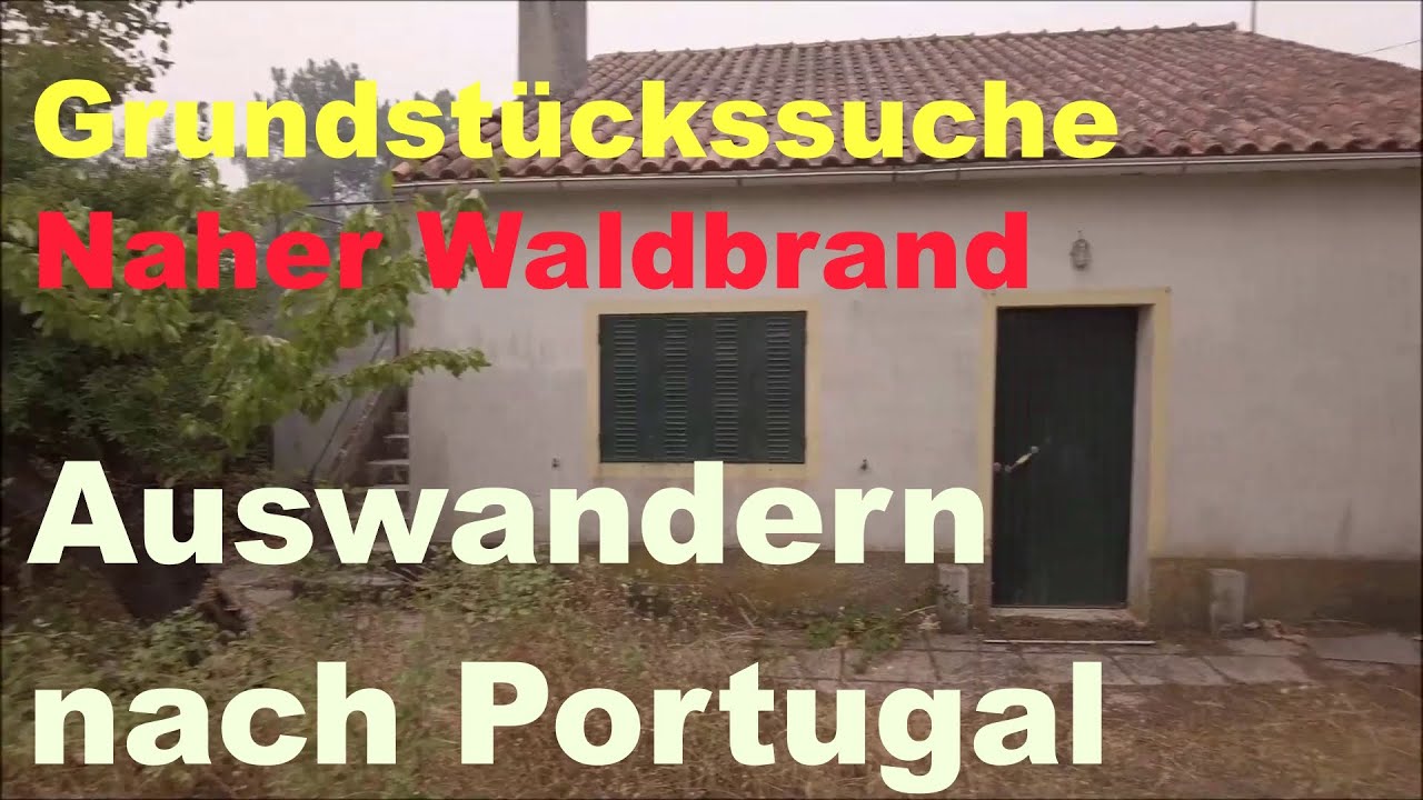 Auswandern nach Portugal - Grundstücke und Flucht vor dem Feuer - Teil 4  - August 2025