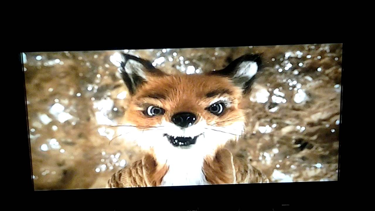 Ms. Fox looses her temper