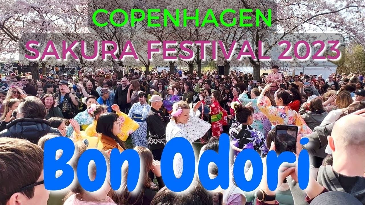 Bon Odori by Nihonjinkai | Copenhagen Sakura Festival 2023 🌸