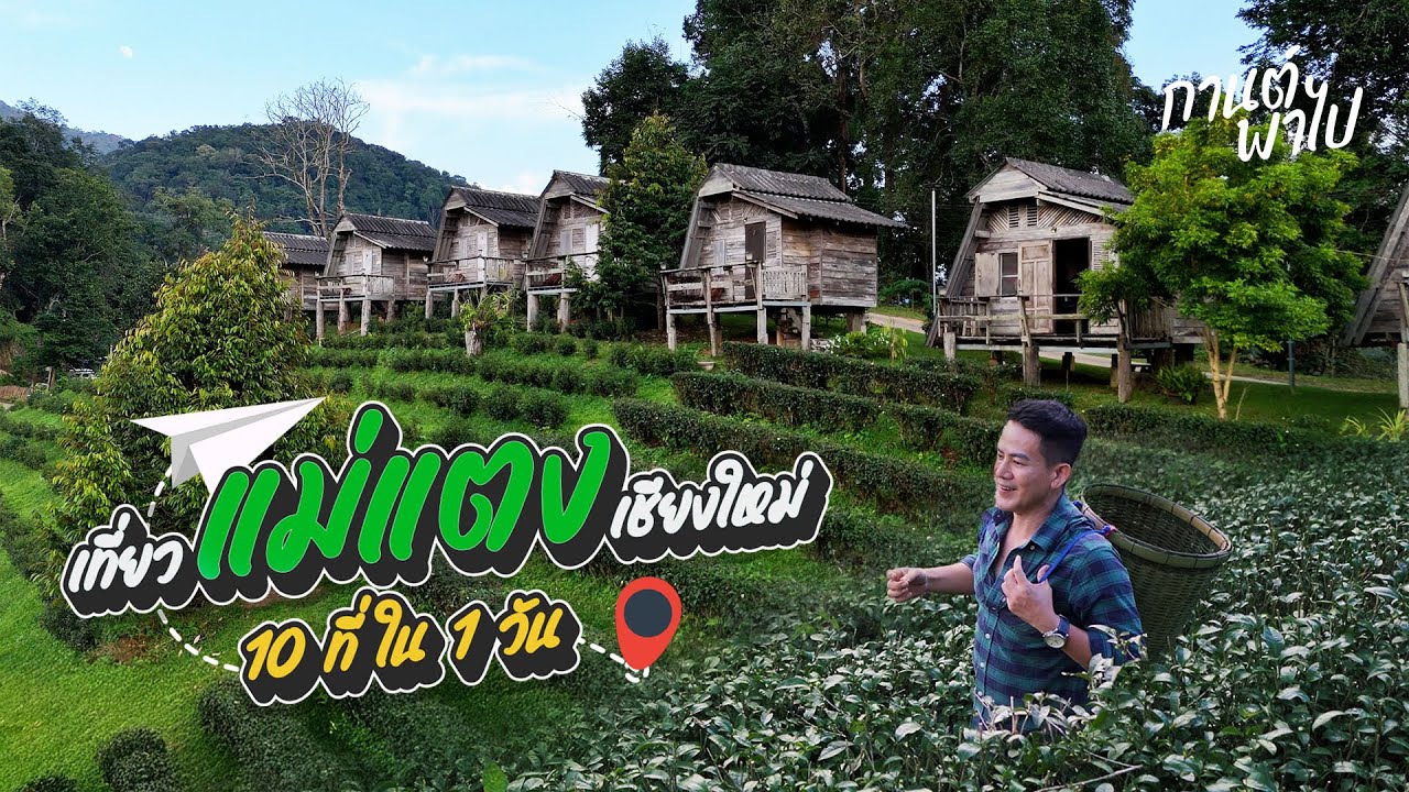 10 ที่เที่ยว-ที่นอน-ที่กิน อ.แม่แตง เชียงใหม่ เที่ยวตามได้ครบใน 1 วัน
