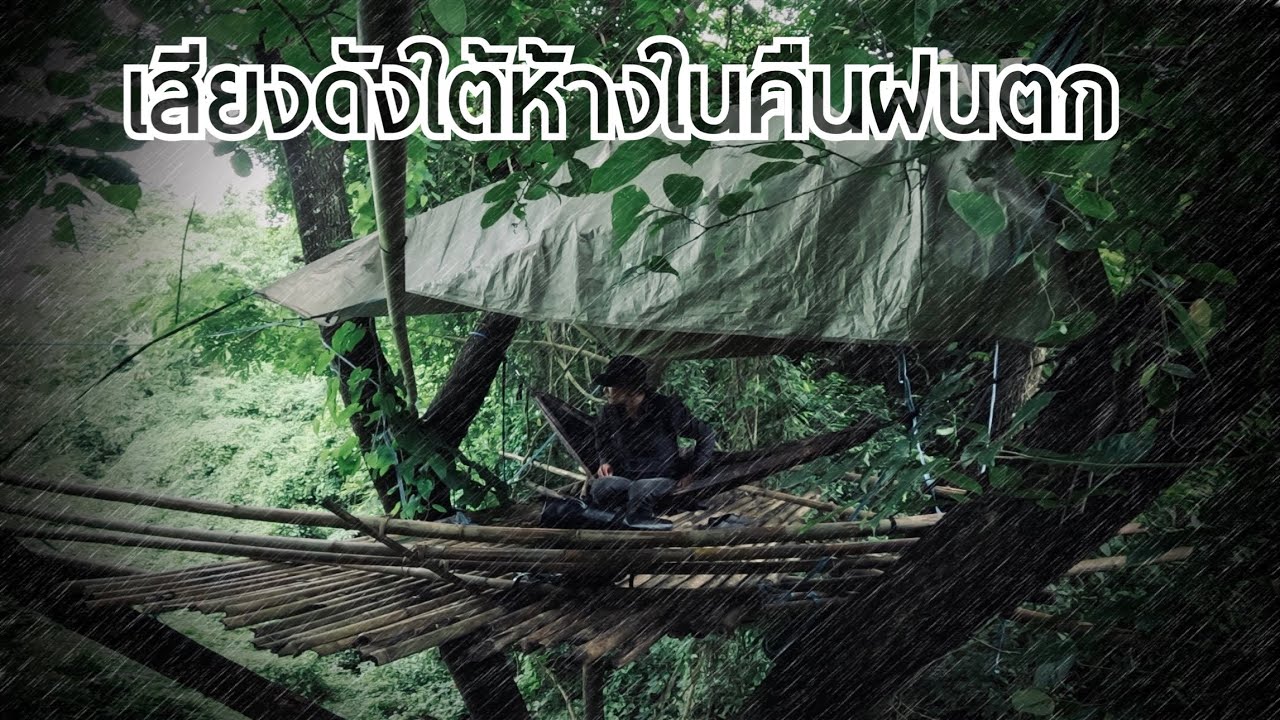 เจอเหตุการณ์แปลกๆในป่าระหว่างเดินทาง ไปนอนห้าง ตกดึกมีเสียงดังใต้ห้างที่ไร้ต้นตอ