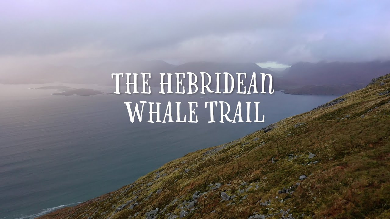 Hebridean Whale Trail