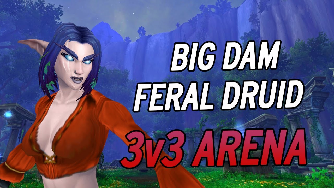FERAL HUNTER 3v3 BIG DAM  | Bean WoW Dragonflight