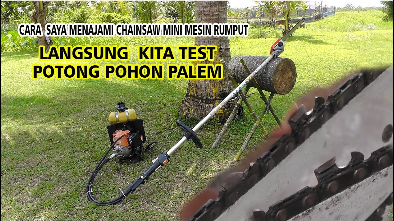 Cara Mengasah Chainsaw Mini Mesin Potong Rumput | Langsung Test Potong Potong Kayu Besar