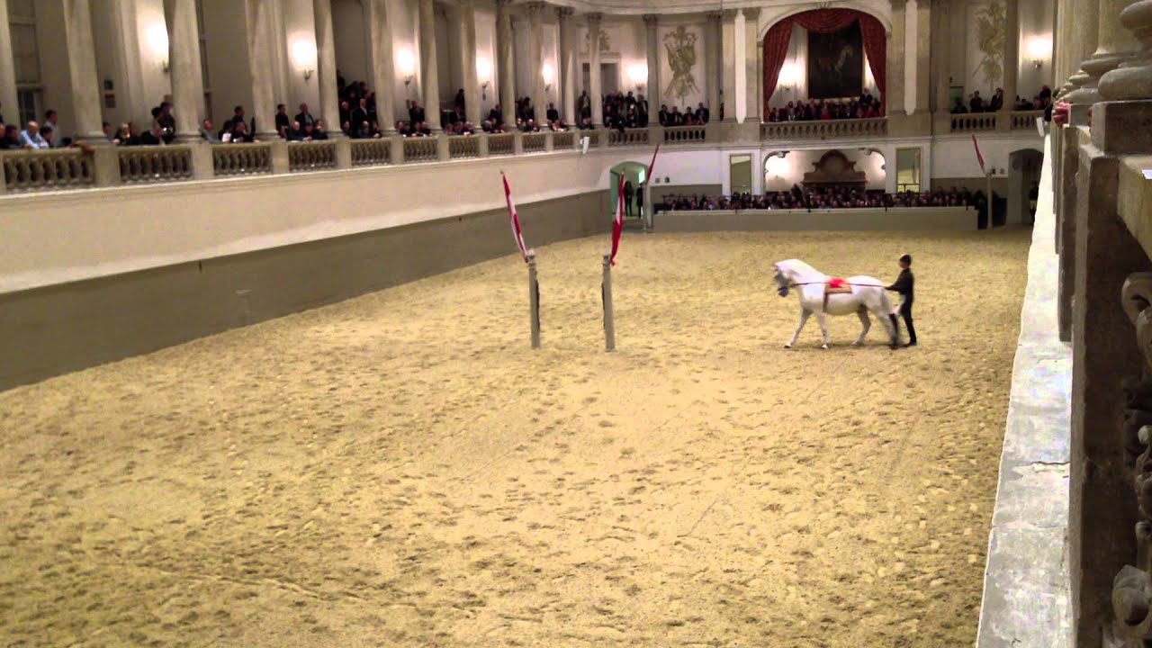 Spanische Reitschule Wien Video 2
