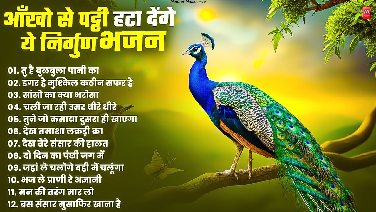 आँखो से पट्टी हटा देगा ये निर्गुण भजन | Nonstop Nirgun Bhajan | Chetawani Bhajan 2026| Nirgun Bhajan