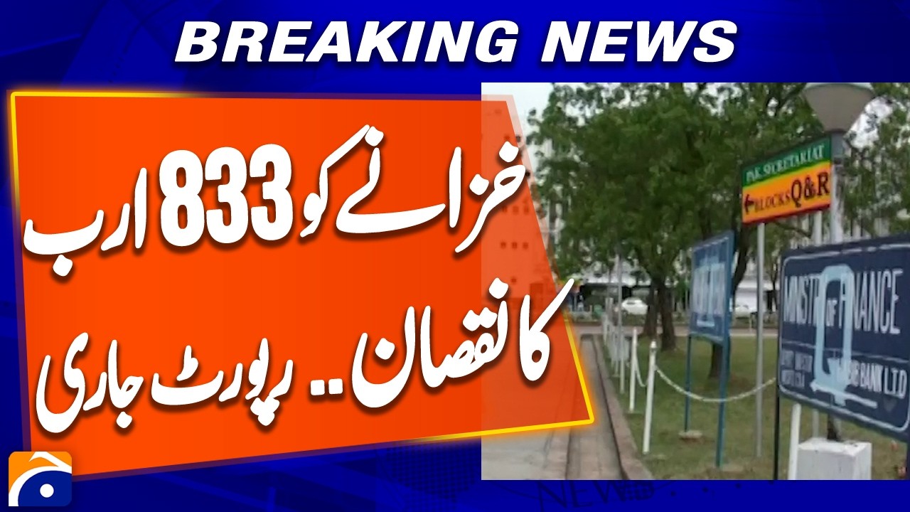 Govt Companies Cause Rs833 Billion Loss in 2024-25 | Finance Ministry Report | Breaking News