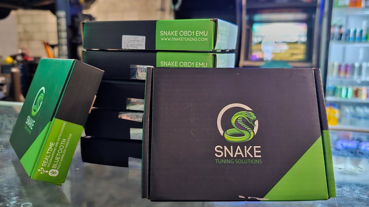 Snake 🐍 OBD1 Ecu